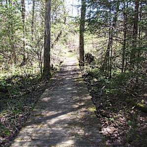 Black Lake Campground