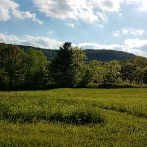 Campsite @ Rune Hill Sanctuary