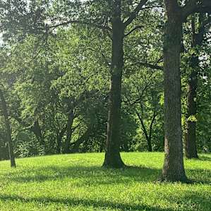Typical scene on the property