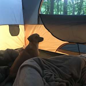 Hidden River Tent-Only Camping
