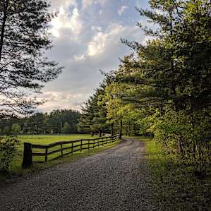 Nearby field on the property