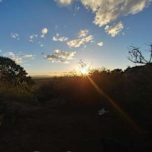 Camp Coyote