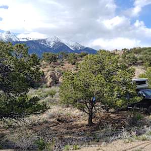 Camp Coyote