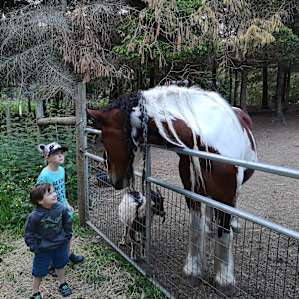 Dragonfly Farm Stay