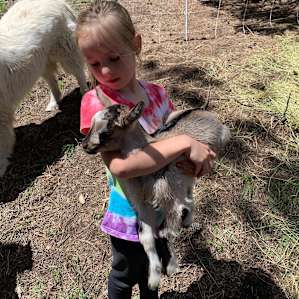 We could even hold the baby goats