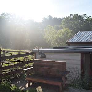Eaters Acres Farm Camp