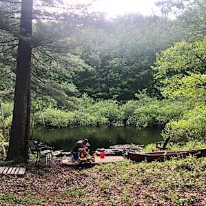 Dreamweaver Pond
