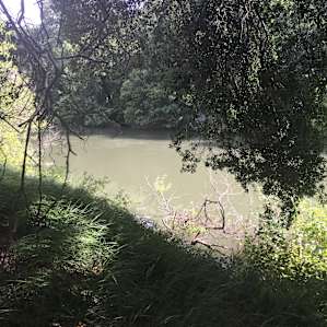 the river is right here, no beach, but pretty to look at