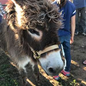 Cheyenne Mountain Farm
