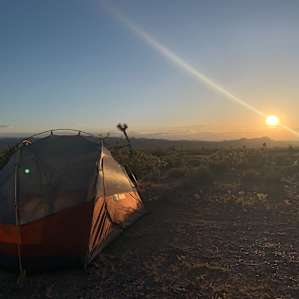 Silver Sunsets!