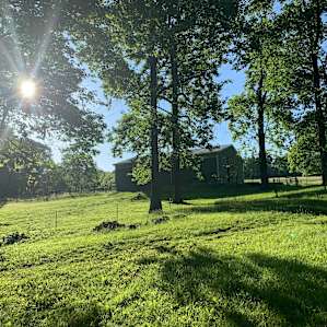 Scenic Turtle Ridge
