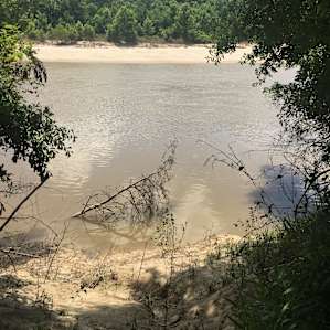 White Bluff RV Sites
