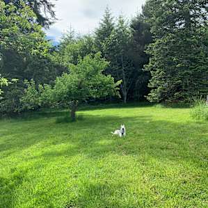 Grey Owl Hollow