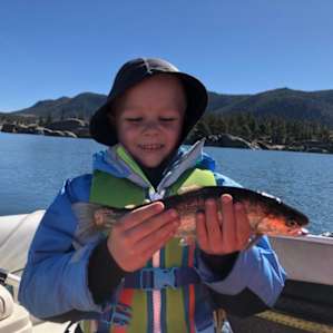 Trout at Eleven Mile