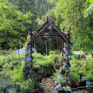 River Haven Outdoor Palace