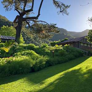 Beautiful greenery on the grounds