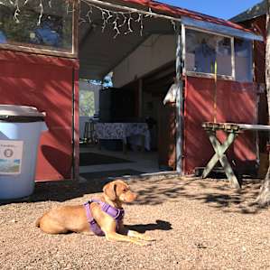 Lady keeping watch by the mess-hall