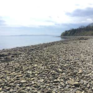 Sears island