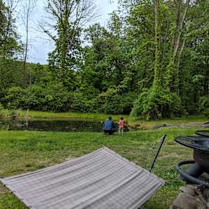 view from the porch