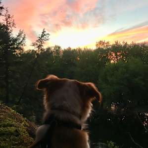 Sunset views.