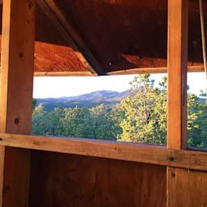 Treehouse Cabins