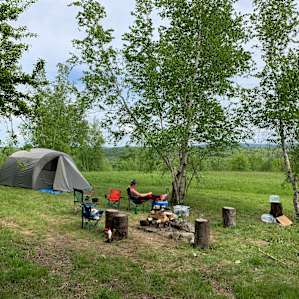 Birch camp