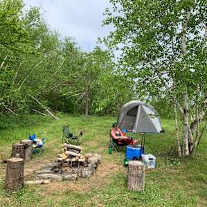 Birch camp