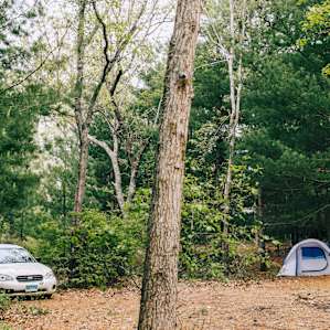 The camping spot.