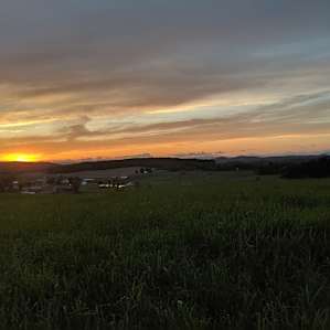 Archdale Meadows