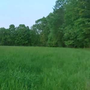 Full 360 degree panoramic.