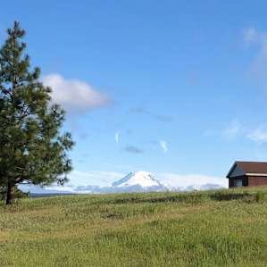 View of Mt. Adams from the property
