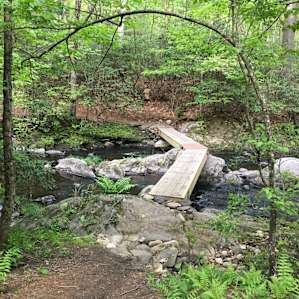 River accessible via a short hike from the campsite