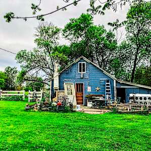 Solace Farm