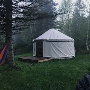 Yurt in the Pines