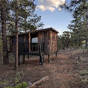 Treehouse Cabins