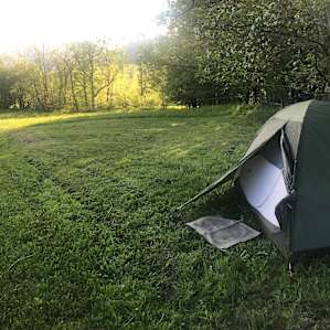 HOWL Meadow