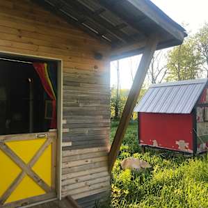 Magical outhouse -- complete with reading material and art!