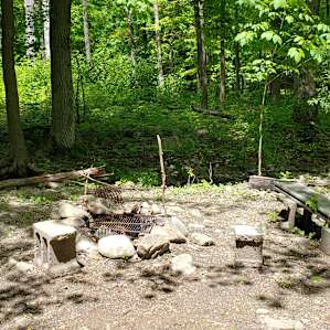 Bare Camping