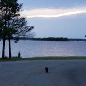 Kasita Glamping Cabins Lake Texoma