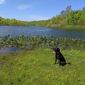 A Lake of your own....