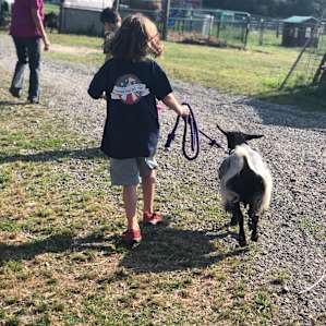 Infinity Acres Petting Ranch