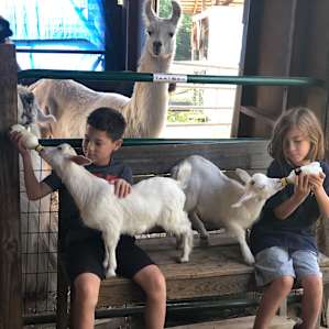 Helping out with some chores around the farm.