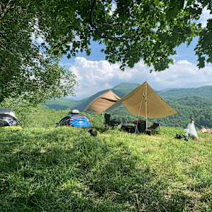 Pasture Paradise
