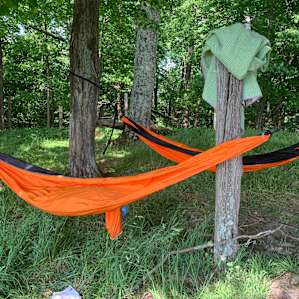 Pasture Paradise