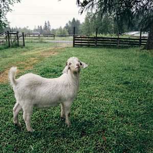 Barton Family Farm and Ranch