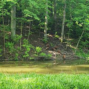 A Central Illinois Paradise