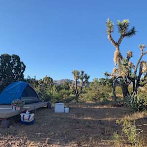 Camp site #2