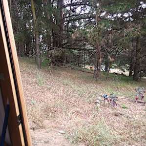 Looking out the front door of the yurt.