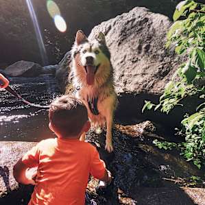 Sky High Ridge Campground