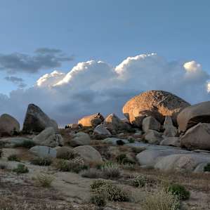 Boulder Gardens Tent and RV Spots